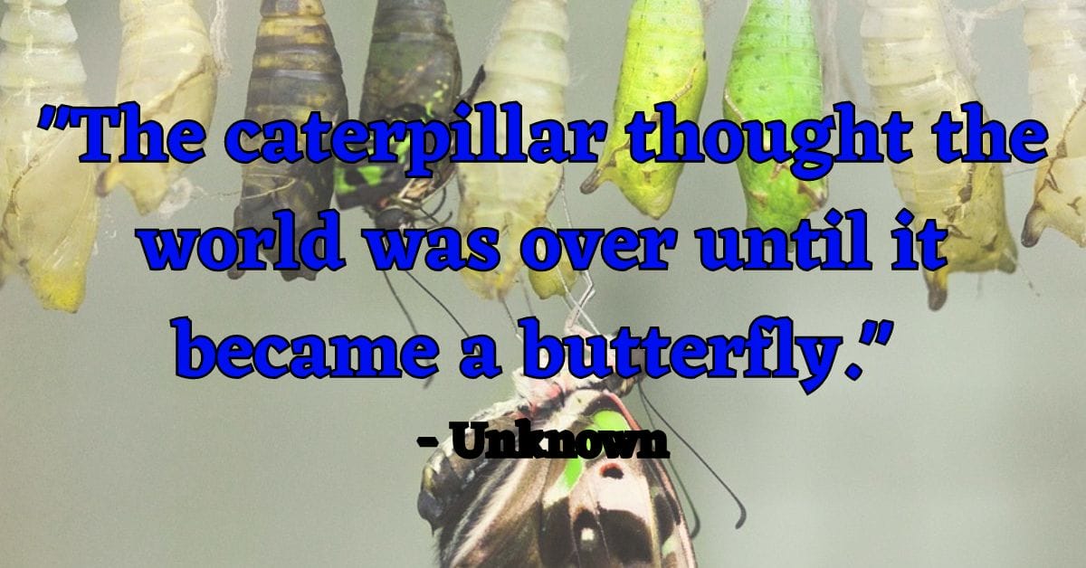 "The caterpillar thought the world was over until it became a butterfly." - Unknown