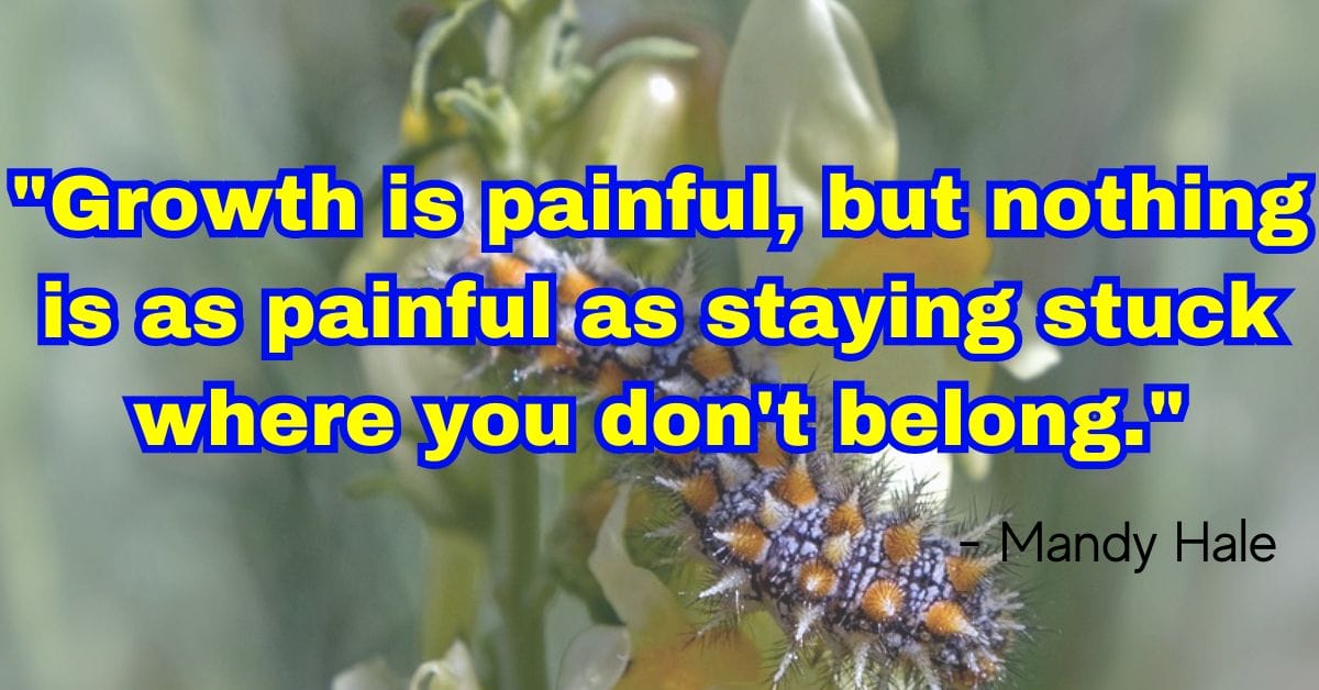 "Growth is painful, but nothing is as painful as staying stuck where you don't belong." - Mandy Hale